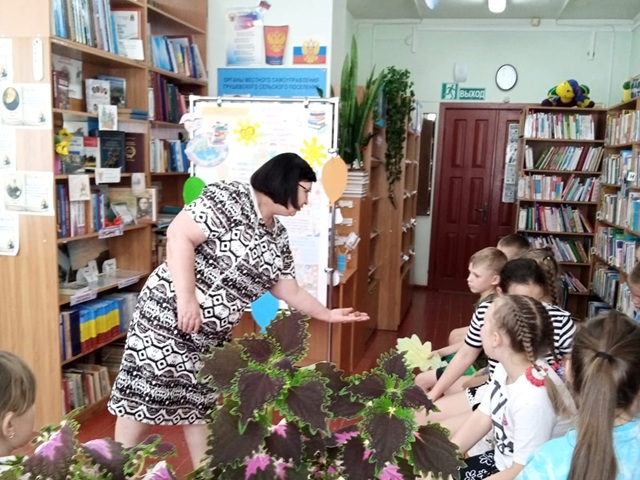 IMG 20250604 141942